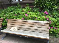 竹瓦温泉の写真・動画_image_73445