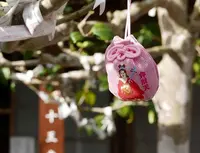 吉祥寺の写真・動画_image_248141