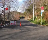 金華山ドライブコースを歩くの写真・動画_image_20911