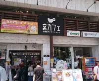 宮カフェの写真・動画_image_139835