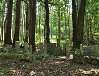 永源寺の写真・動画_image_67124