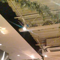 フェブラリーカフェの写真・動画_image_91178