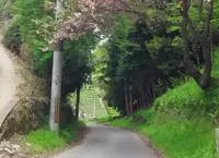 撰原の茶畑の写真・動画_image_73859