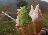 永源寺の写真・動画_image_67126