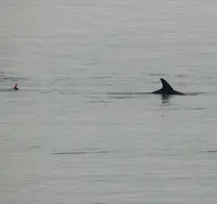 石川県能登島ガラス美術館の写真・動画_image_216298