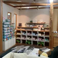 いまばりタオルブティックの写真・動画_image_502387
