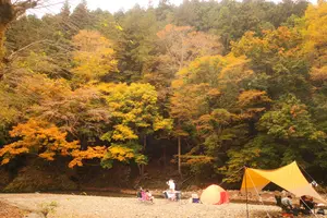 懐かしくのんびりできるキャンプ場と古民家カフェ