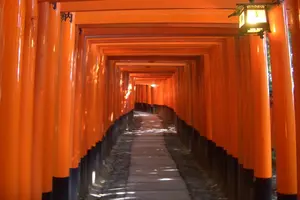 千本鳥居の伏見稲荷と鳥羽伏見