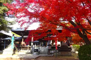 犬山寂光院と犬山城下町街歩き