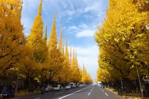 【早起きは三文の徳】渋谷青山エリア朝活スポット~恋人編~