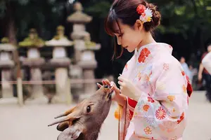 ならまちを遊びつくせプラン