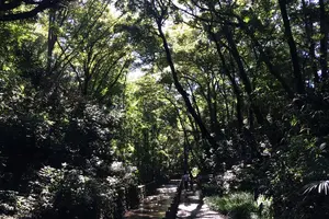 都心で自然を満喫できるスポット