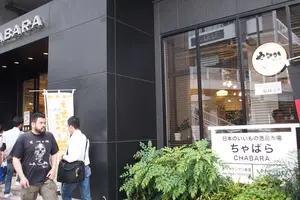 駅間を歩いてみるのもいいものですよ？（秋葉原～上野）