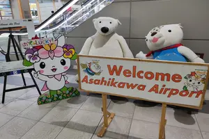 北海道の人気観光地をぐるっと周遊5日間