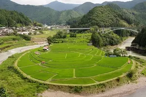 ナイナイお見合い大作戦　次回開催予定地　和歌山県有田川町の魅力　～有田川町の花嫁募集～