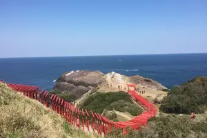 歴史と桜をめぐる旅〜山口・大分・熊本〜2016