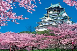 桜🌸の咲く城下町の旅
