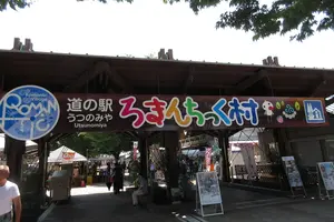 高校生、夏休み先取り！宇都宮で農業!?