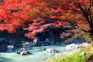 【東京にある自然⛰】西多摩エリアのおすすめスポットまとめ