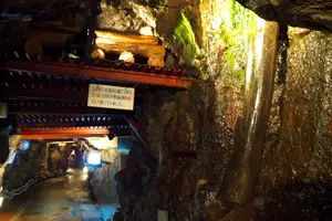 天然のワインセラー！？涼しい生野銀山と生野ハヤシライスを食べに行こう