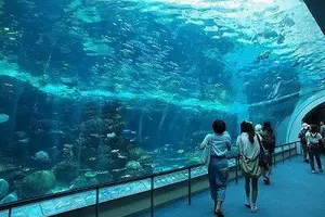 子どもと一緒に 名古屋港を満喫！