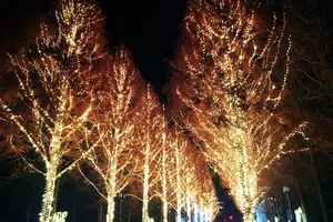 冬の夜に京都デート