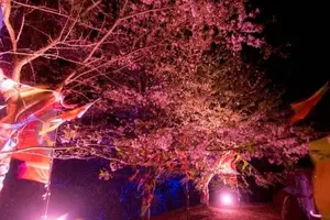 淡路島公園内にできたアニメのテーマパーク「ニジゲンノモリ」満喫プラン