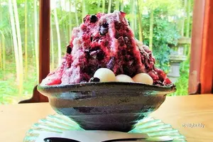 奈良はかき氷の聖地・奈良で味わうオススメかき氷