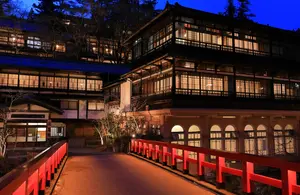 レトロな♨️温泉フリークが涙を流して悦ぶ文化財の宿入湯🥲