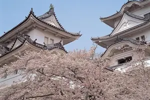 三重と奈良ひとりたび