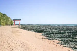 日帰り⛩宮崎ドライブ