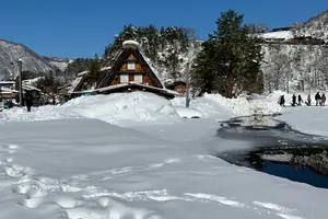 マイカーで行く三河・郡上八幡・白川郷の旅(一部バスツアー)