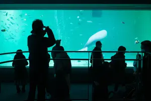 行ったことある水族館