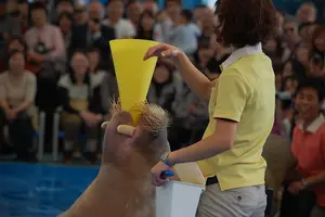 大人も楽しめる鳥羽水族館へドライブ！