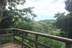 都心からたった３０分。青い空の下、子供を野原で駆け巡らせよう！！