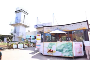小豆島に行く前に淡路島と四国も楽しんじゃおう！🧅🍜