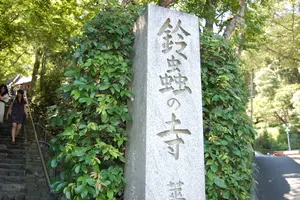 紅葉の名所・嵐山観光＆願いごとが叶うと有名な鈴虫寺へ。