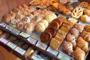 【広島県】ホテルステイと尾道・広島市内を満喫するおすすめプラン🚶‍♀️❣️