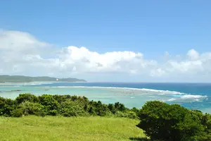 【奄美大島】絶景ビーチとグルメ🥭2泊3日で満喫旅