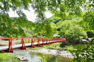 新緑の候＊五月小旅行