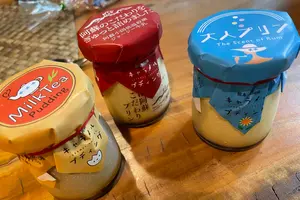 2泊3日の熊本周遊の旅~熊本県・宮崎県~