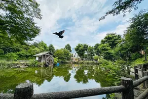 【渋谷】駅周辺の公園マップ🛝穴場/休憩スポット/子どもの遊び場