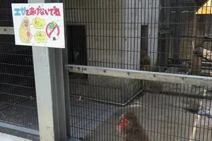 みんな子育て楽しもうぜ！鳥取駅徒歩圏内の子連レッツプラン！