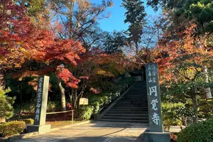 【鎌倉】1日で鎌倉を周り尽くすプラン。