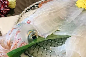 キニナル佐賀