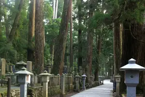 霊験あらたか、高野山と熊野のたび