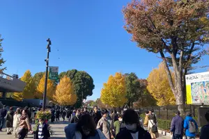 秋の新宿近辺デート🍁
