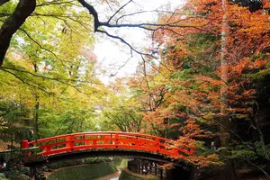 11月京都、紅葉を求めて③