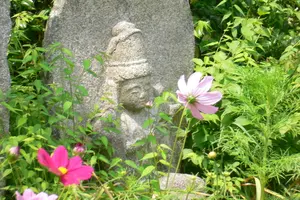 奈良　花の寺、般若寺～ならまち街歩き