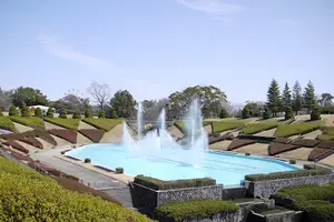 花咲かタイムズ【静岡・浜松】